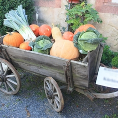 Herbstfest | Äppel, Körb' und weiße Rübe